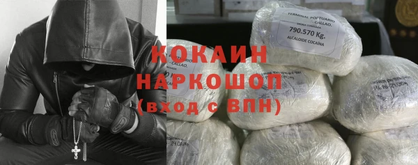 ГАЛЛЮЦИНОГЕННЫЕ ГРИБЫ Заводоуковск