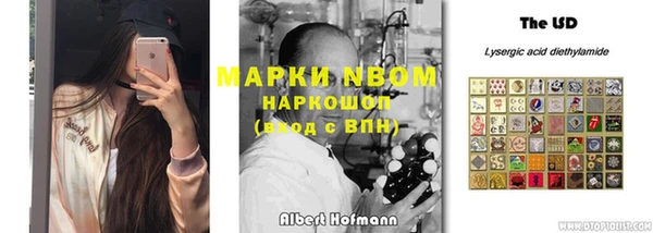 ГАЛЛЮЦИНОГЕННЫЕ ГРИБЫ Заводоуковск