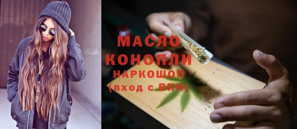 индика Зеленодольск