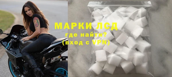 индика Зеленодольск