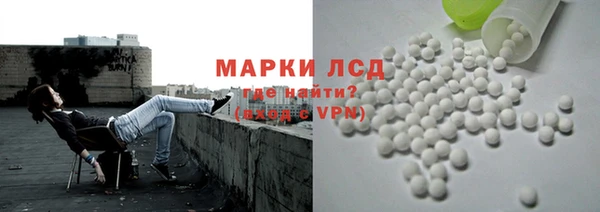 ГАЛЛЮЦИНОГЕННЫЕ ГРИБЫ Заводоуковск