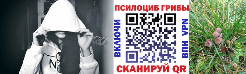 Псилоцибиновые грибы MAGIC MUSHROOMS  Купить где  Ялта 